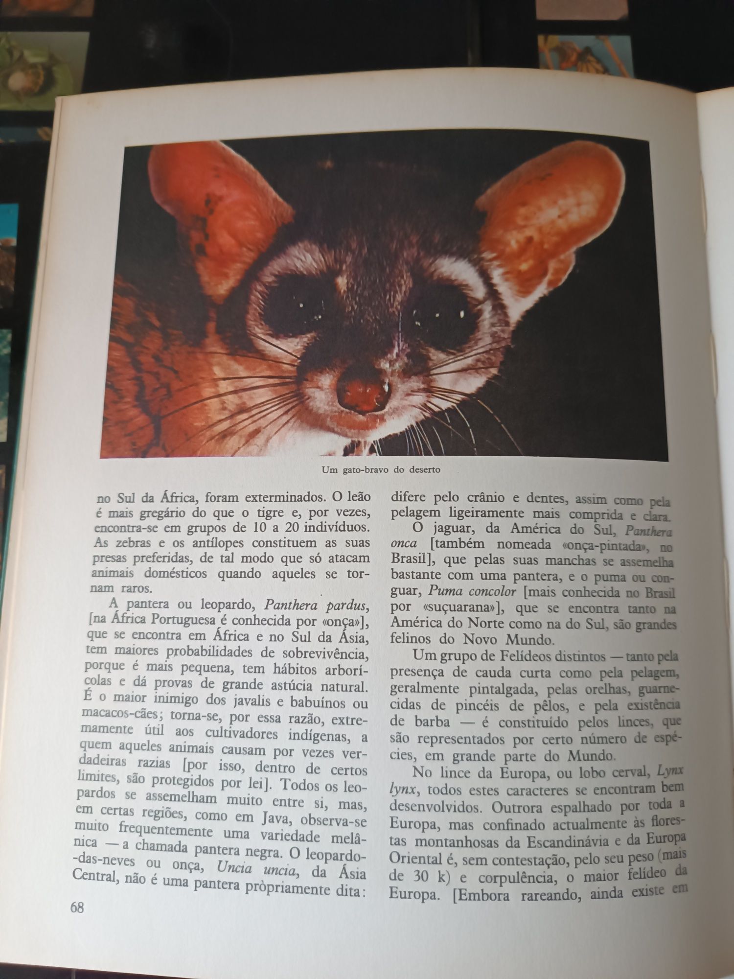 8 Enciclopedias do Reino Animal - Maurice Burton