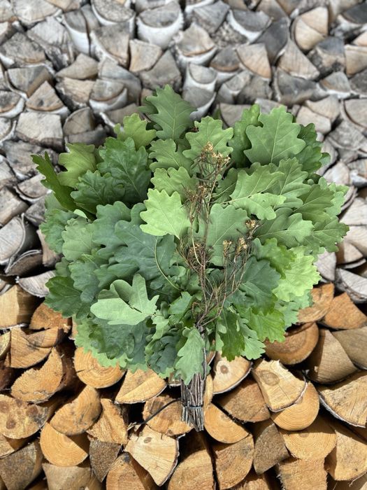 Продам віники для бані