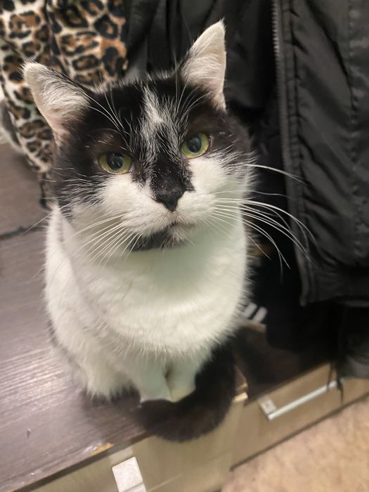 Ася в надійні ручки