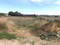 Terreno Urbano para moradia em Alcochete