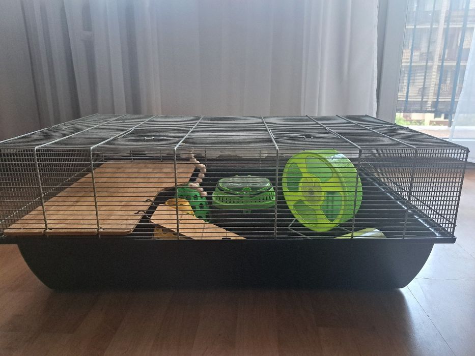 Klatka z akcesoriami