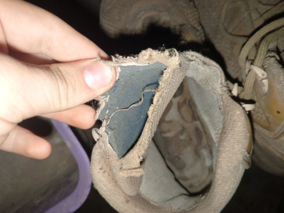 Продам талани берци