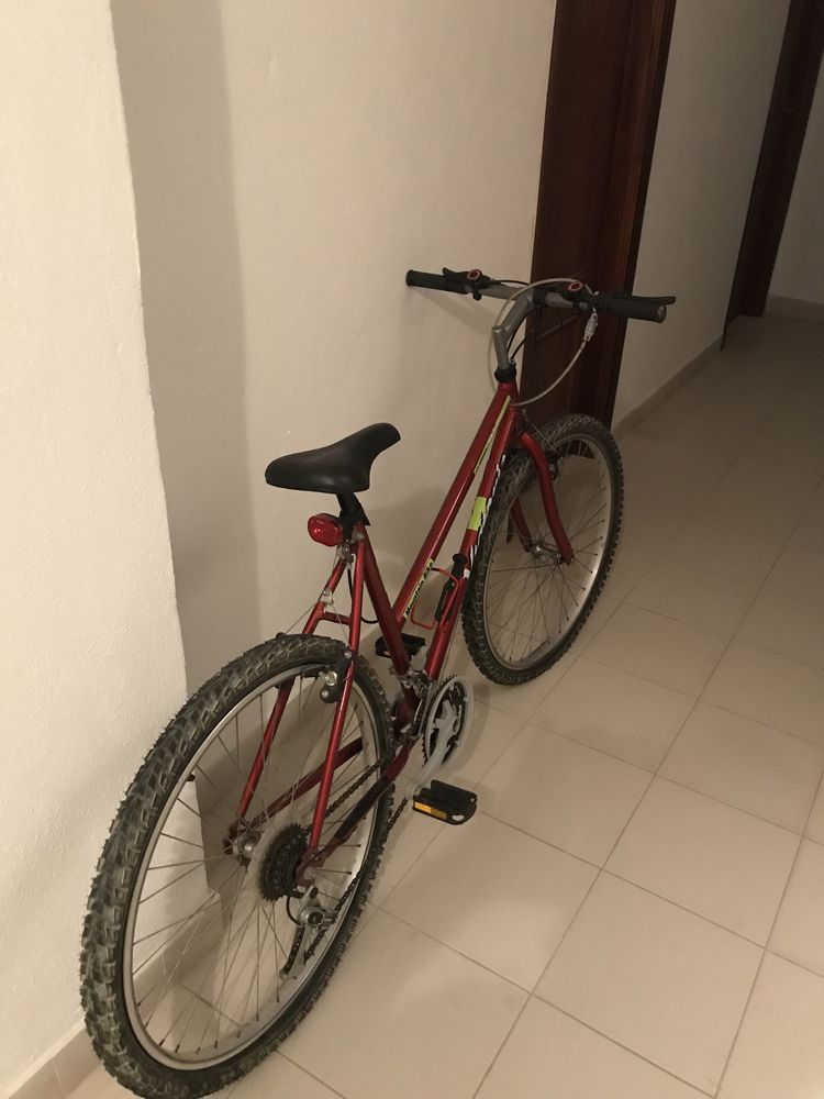 Bicicleta montanha