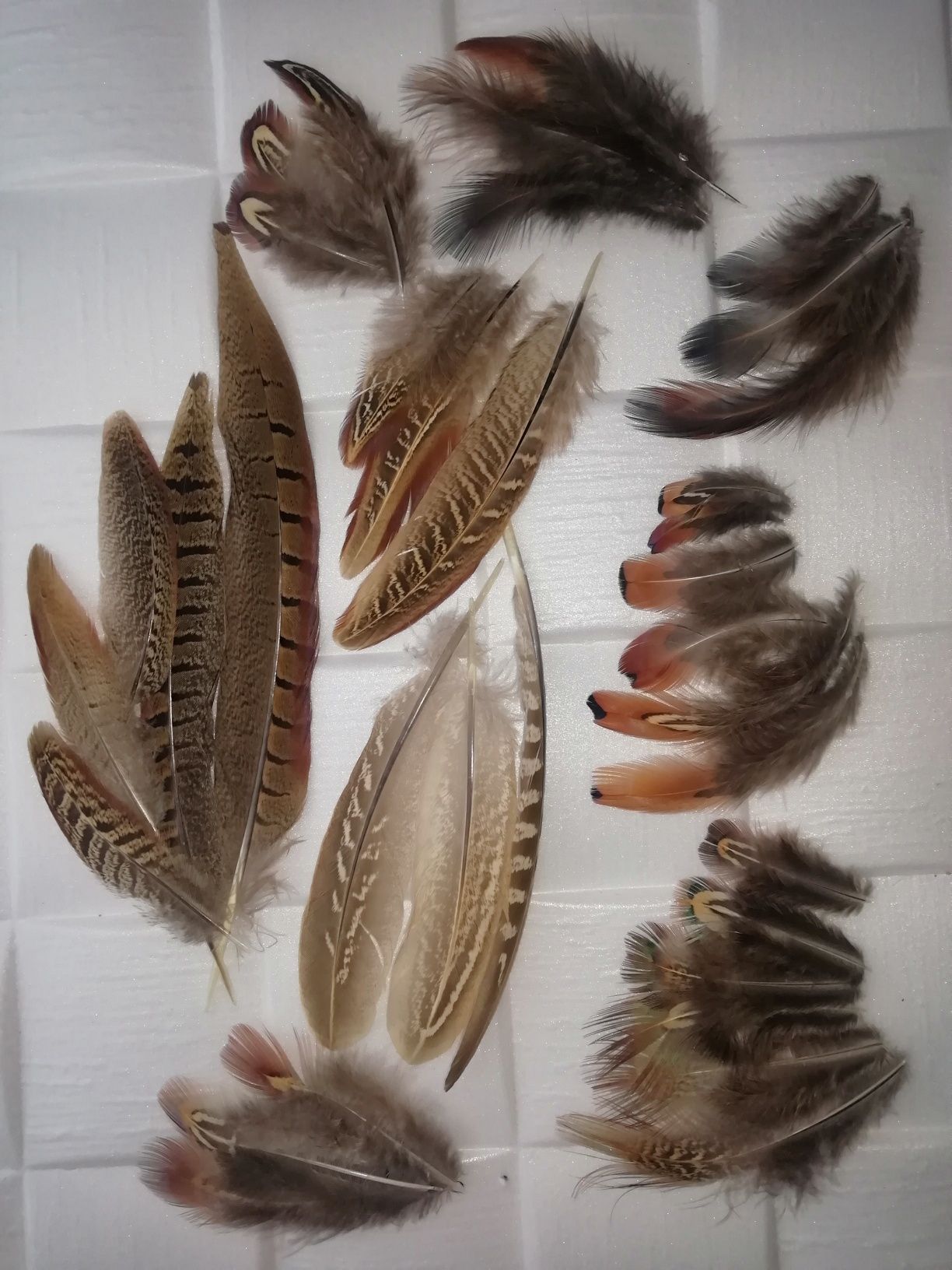 Купить перья Перо декоративне пір’я натуральне кольорове рукоділля