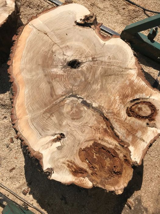 Monolity dębowe - krążki