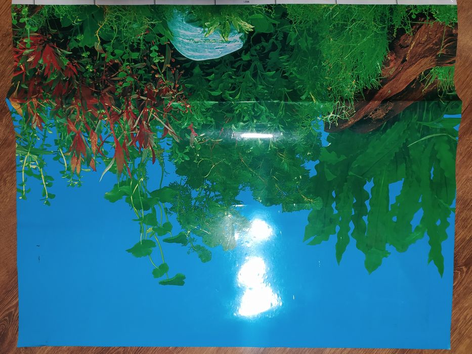 dwustronne tło do akwarium