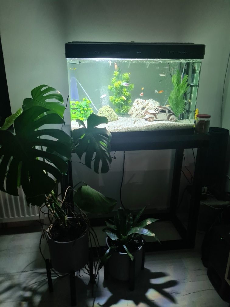 Akwarium 180l z wyposażeniem+półka