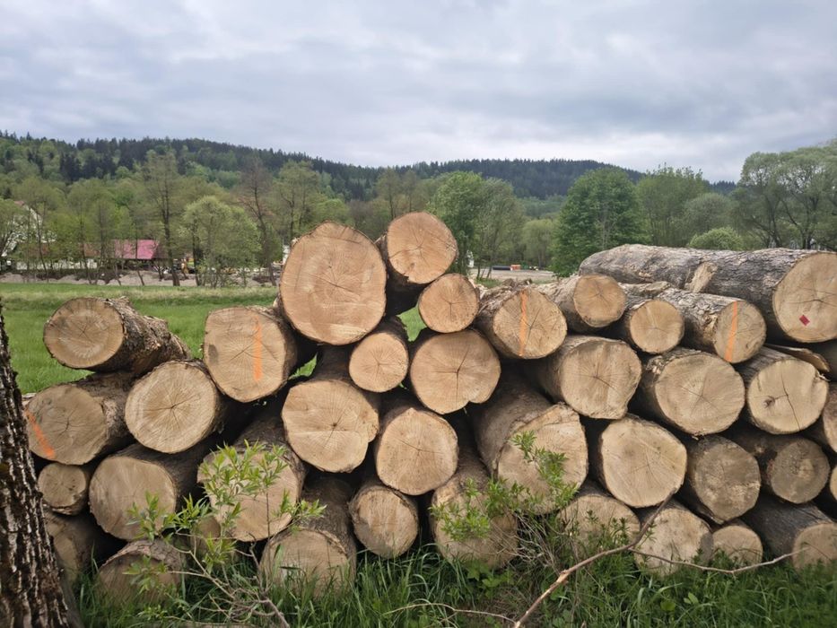 Drewno opałowe świerk