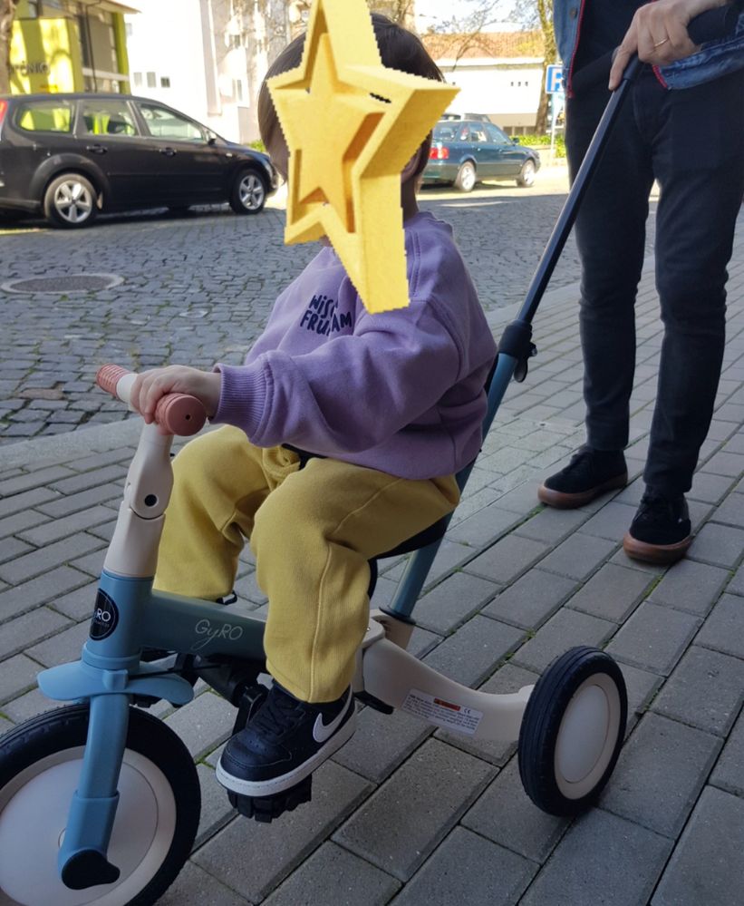 Triciclo evolutivo Olmitos Gyro