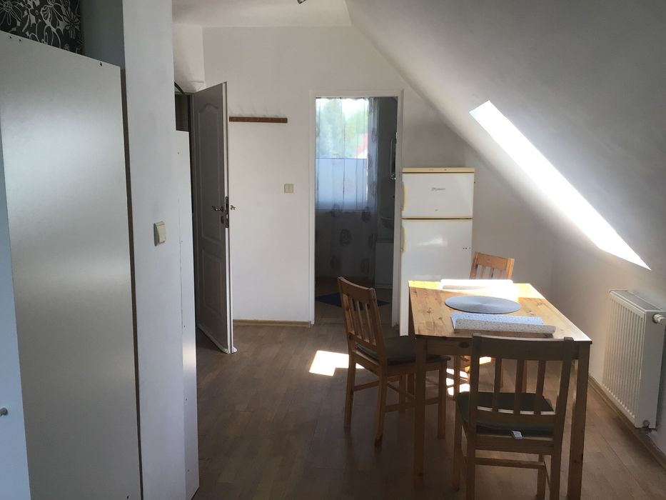 Mieszkanie po remoncie do wynajęcia