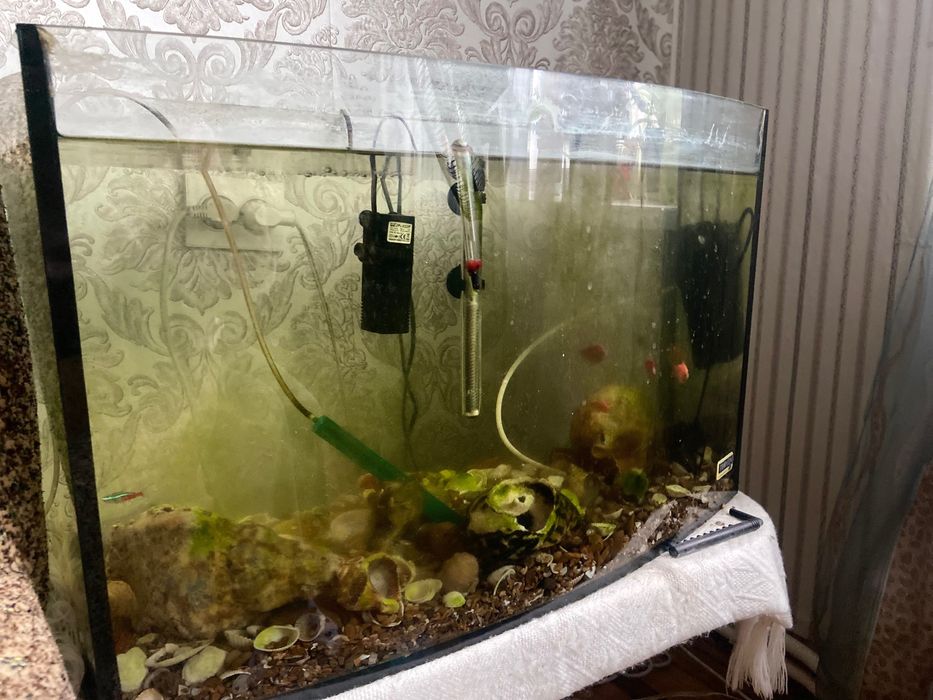 Акваріум 90 літрів