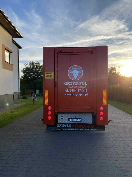 Scania p230 do przewozu zwierząt bydła żywca zabudowa waga