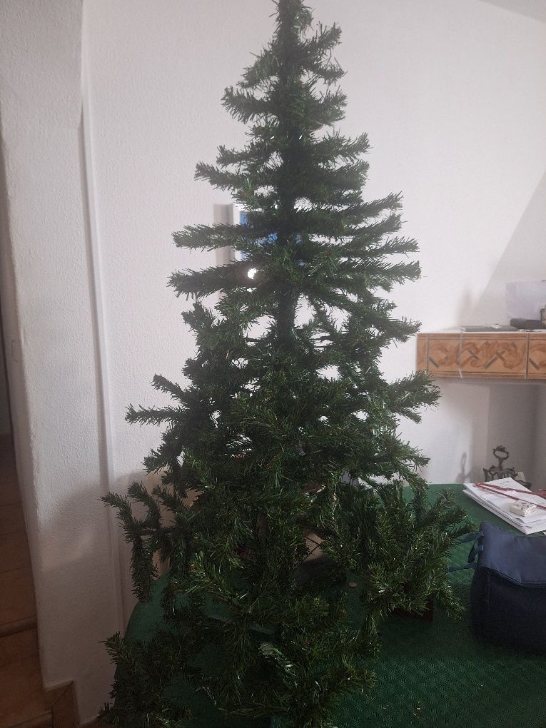 Vendo árvore de natal