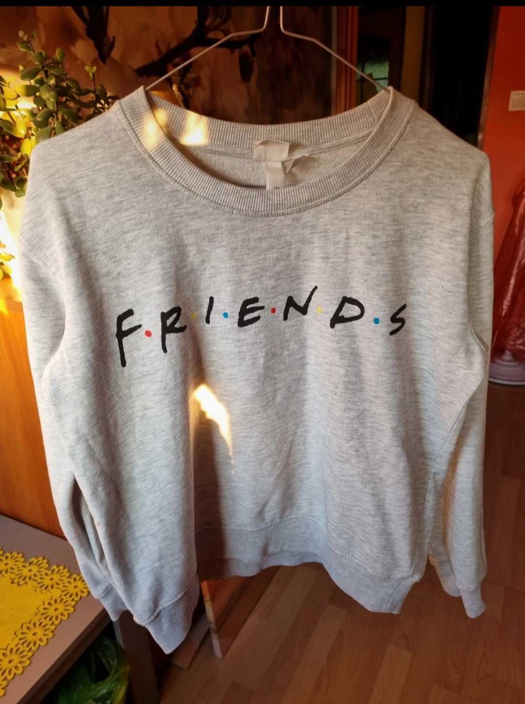 Bluza FRIENDS szara