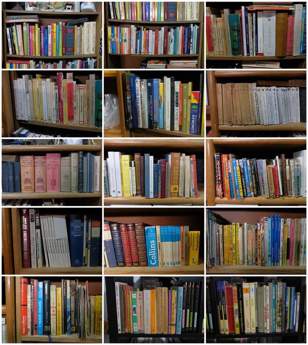Livros a 1€ cada ou lotes de 100 por 50€ ( envio fotos )