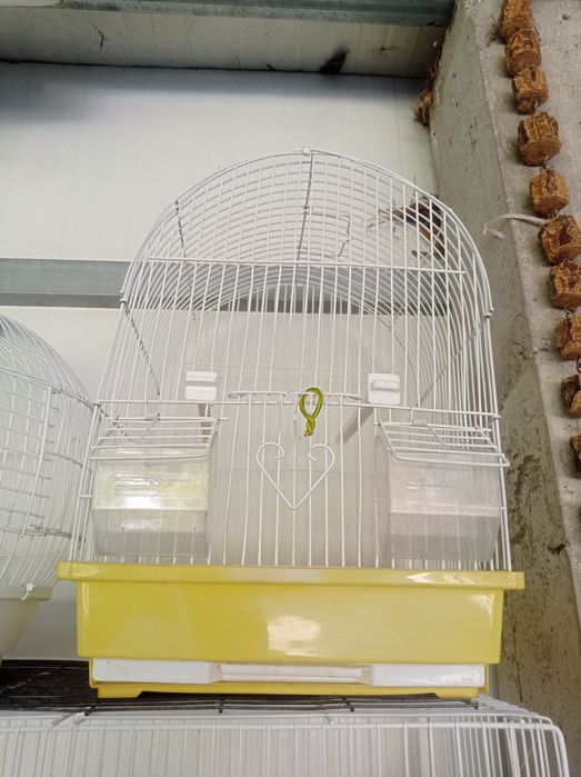 Gaiolas usadas em bom estado