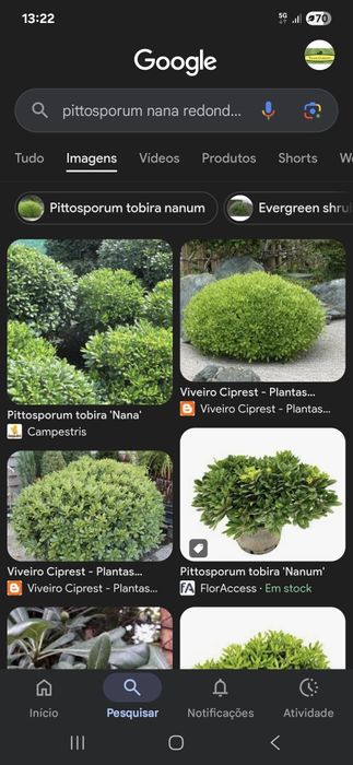 Paisagismo - Portugal