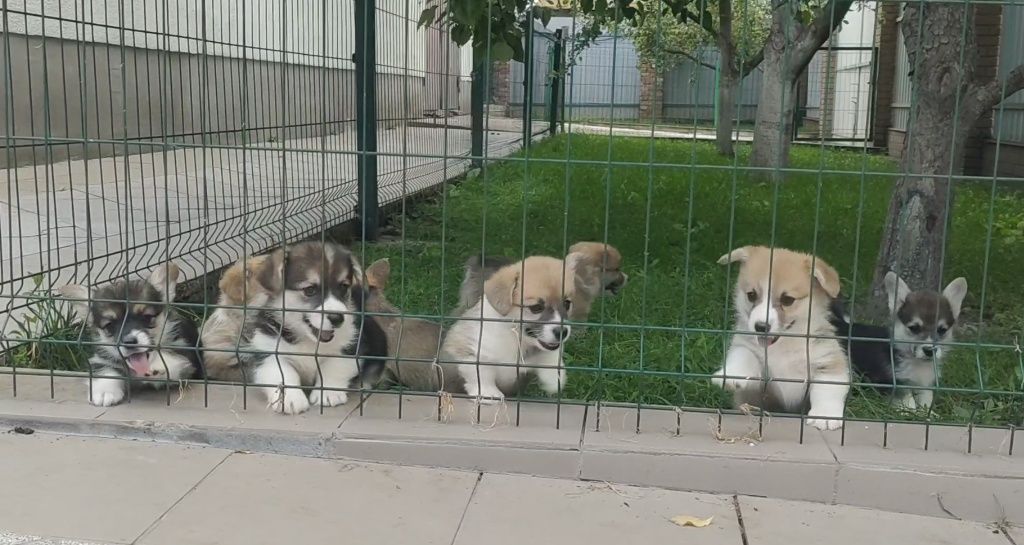 Мальчики и девочки.