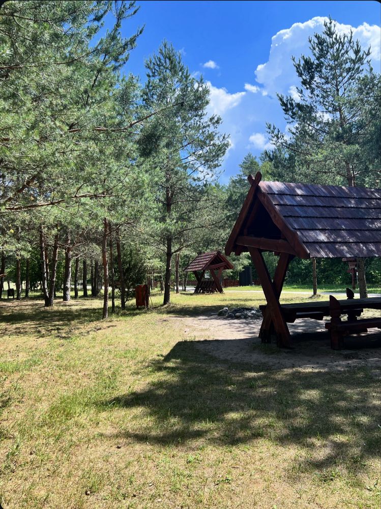 Domek do wynajęcia z banią, las,rzeka, zagroda żubrów, Supraśl 10km