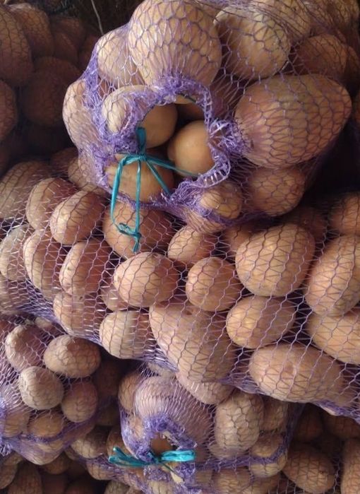 Домашня картопля