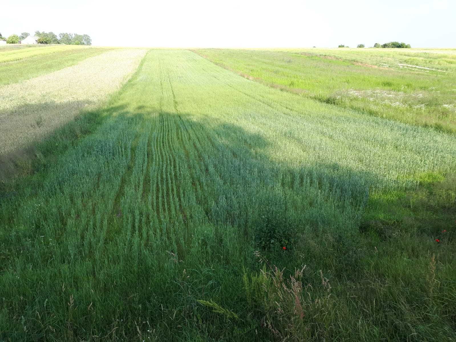 Sprzedam działkę budowlaną diałka rekreacyjna