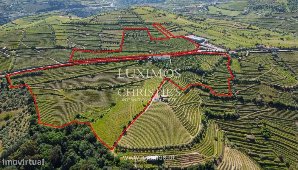 Quinta Vinícola à venda no Douro Valley em Cambres, Lamego, Portugal