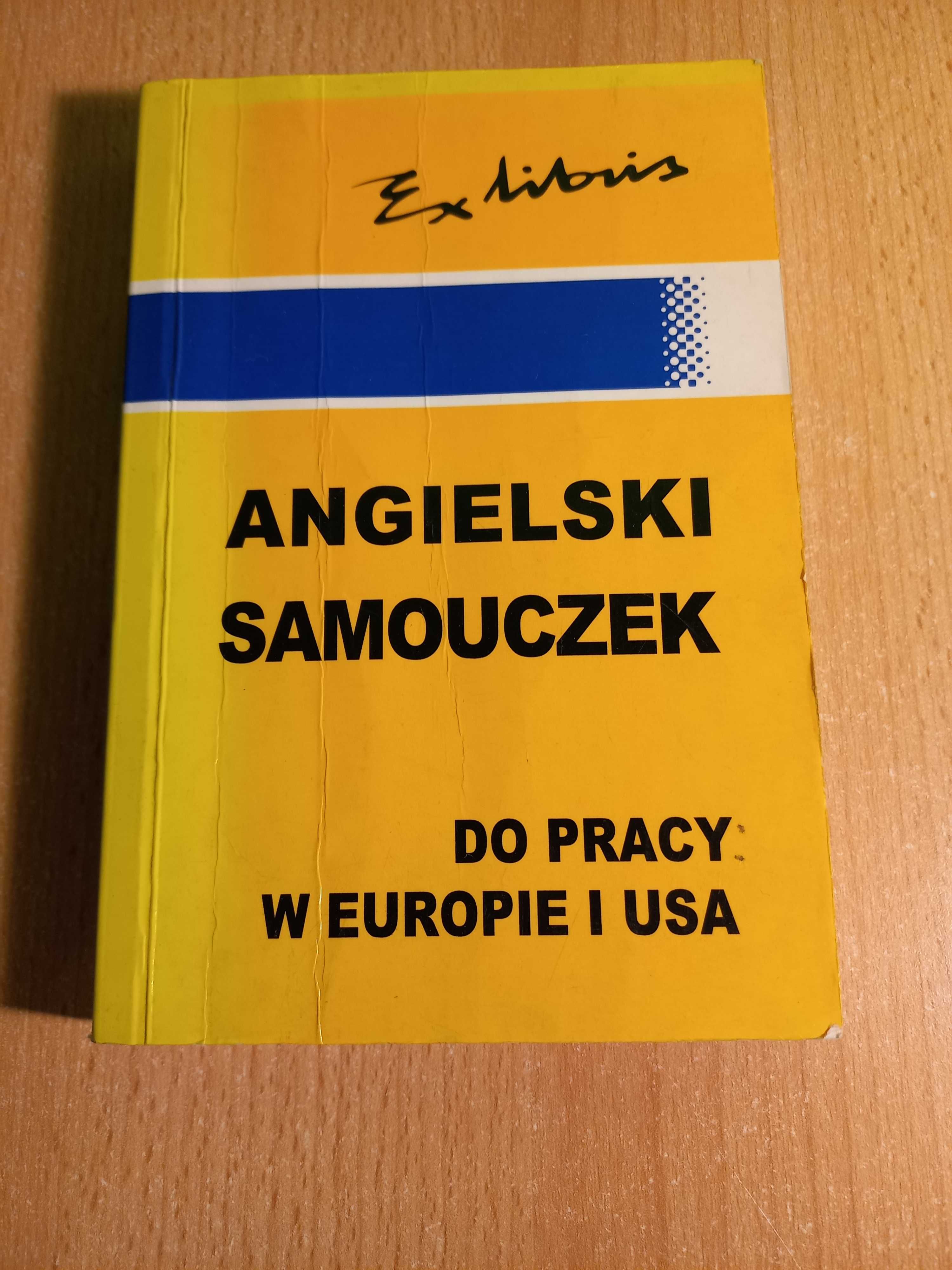 Angielski samouczek do pracy w europie i usa Jan J. Kałuża