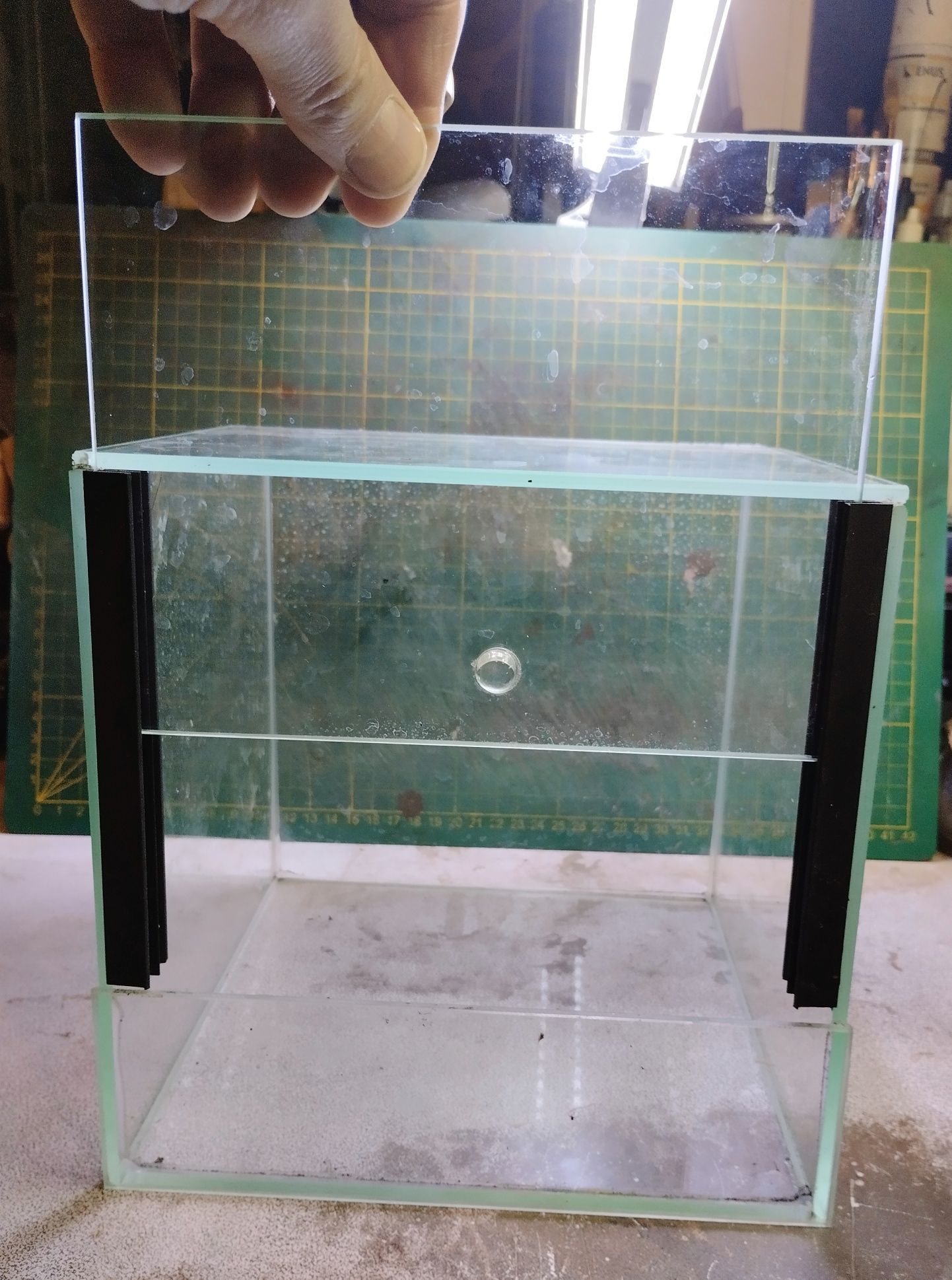 Terrarium dla pająka, patyczaka, straszyka.