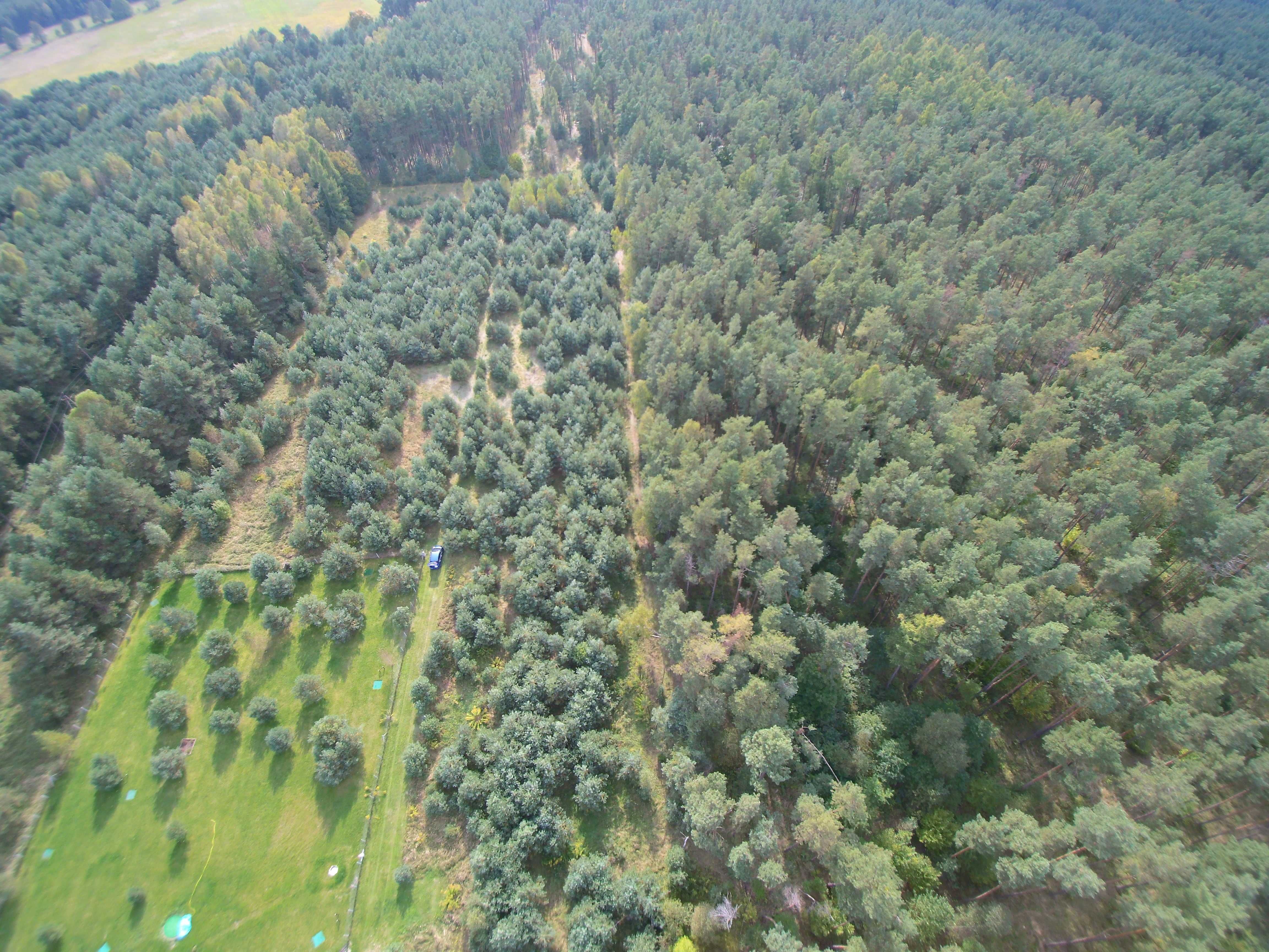 Działka rekreacyjno-leśna o pow. 3000 m2 - Ponik, ul. Wczasowa - Janów