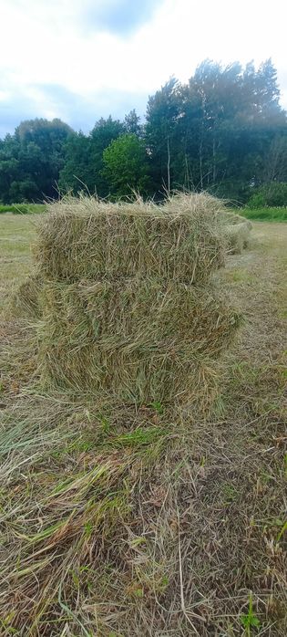 Продам сіно в тюках