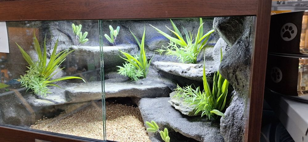 Terrarium dla gekona lamparciego 60x40x40 nowe