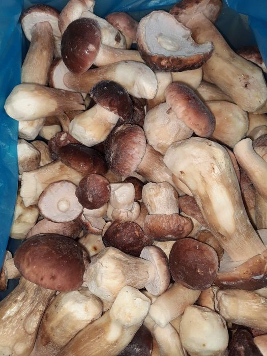 Гриби білі цілі кубик лісові заморожені