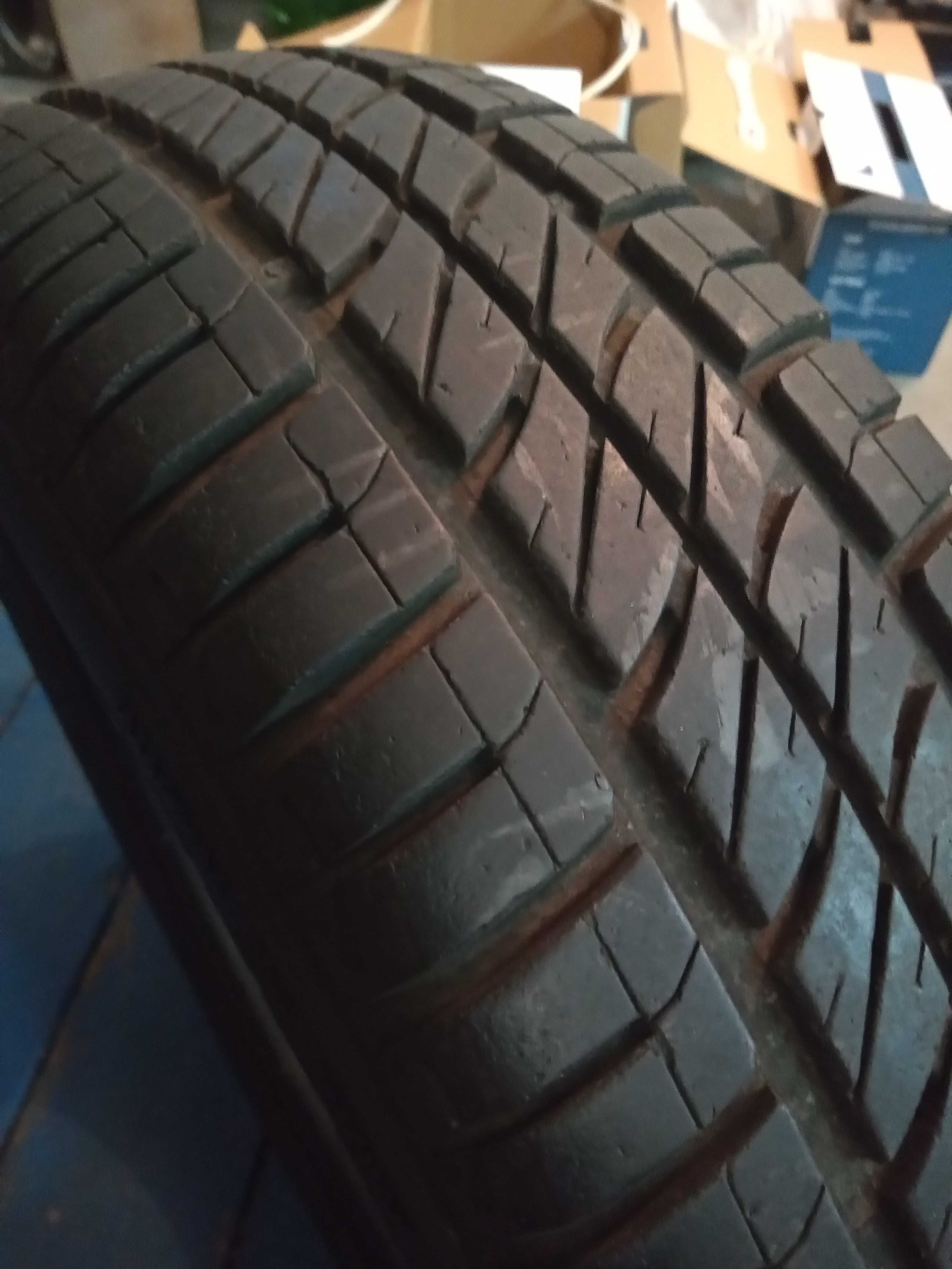 Opony letnie Dębica 165/70 R14