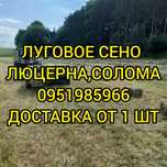 Сено 2025 с доставкой сіно в мешках тюках для корма овсяное и др.