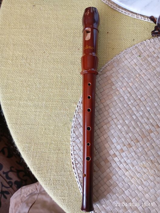 Флейта музичний інструмент