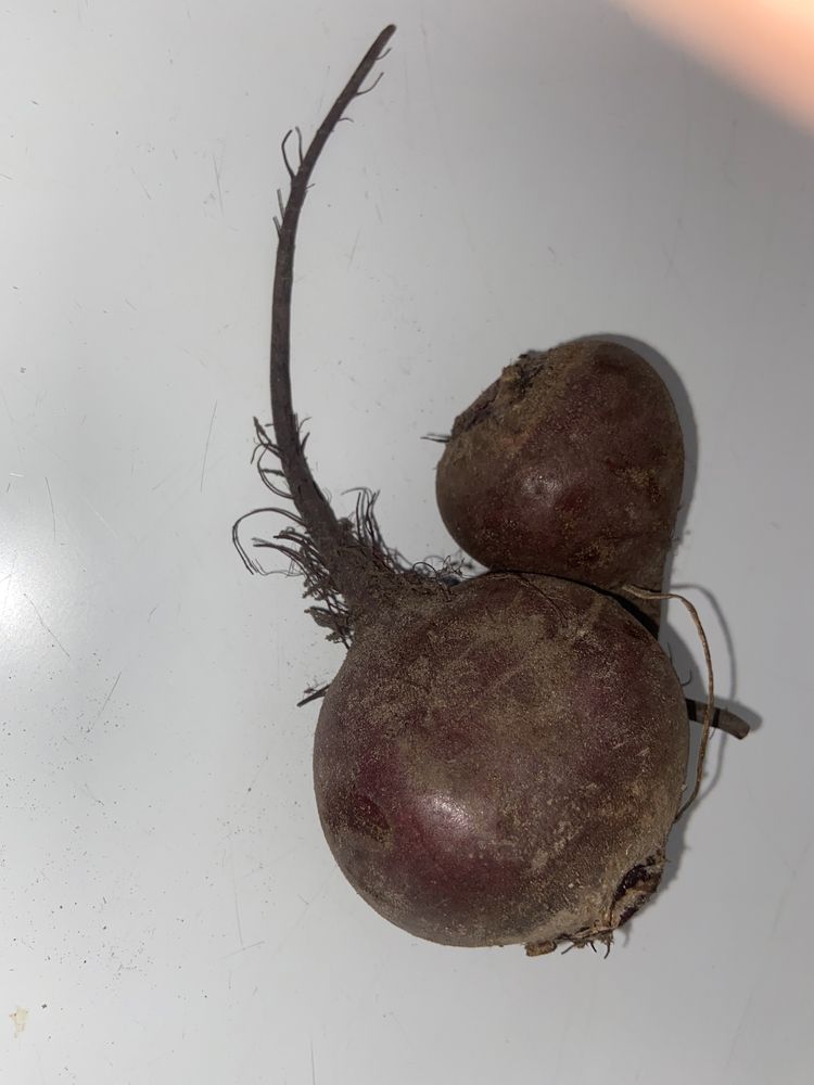 Ziemniaki Denar, młode ziemniaki, jaja kurze.