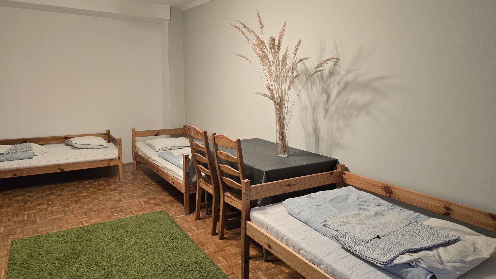 Mieszkanie dla pracowników firm/Łódź/Centrum/Piotrkowska