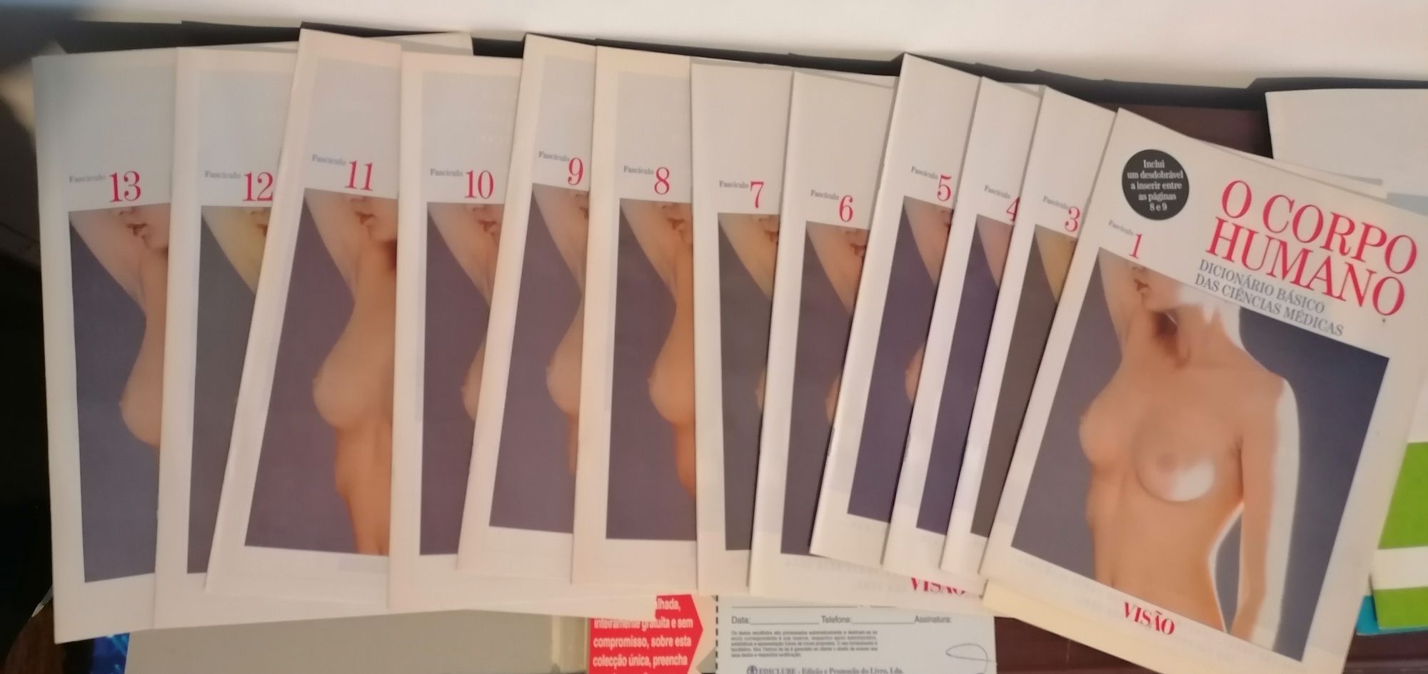 Coleção "O Corpo Humano - Dicionário Básico das Ciências Médicas"