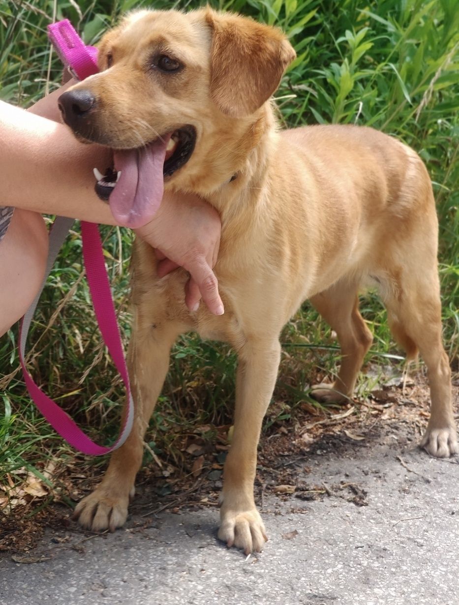 Eliza gorąco poleca się do adopcji:)