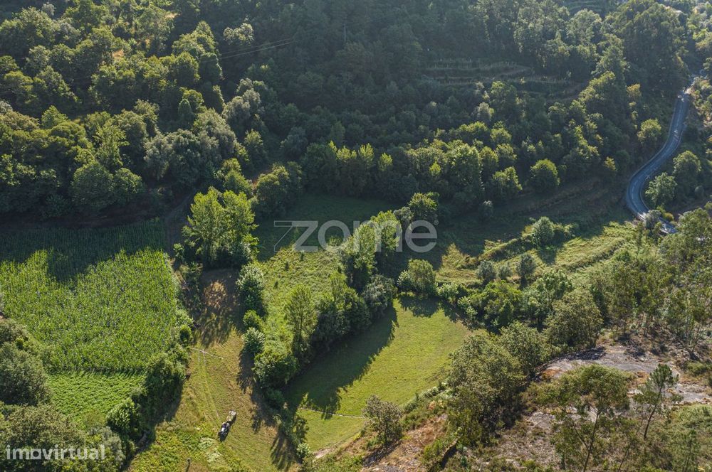 Terreno Rústico com Nascente em Seramil