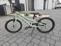Rower puky 18" ls-pro light series