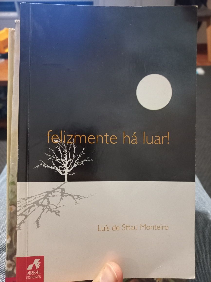 Livro "Felizmente há luar"