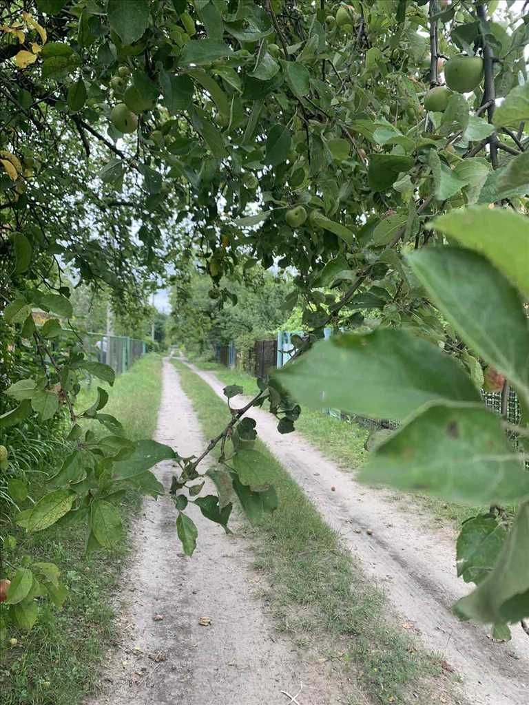 Дачний 2х поверховий будинок та 12 соток землі.