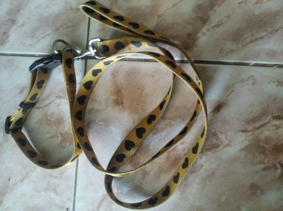 Smycz dla psa zapraszam