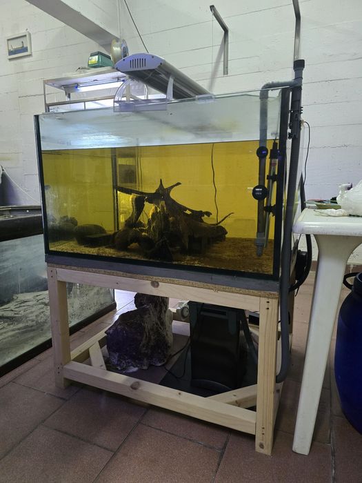 Aquário Cubo com Estrutura