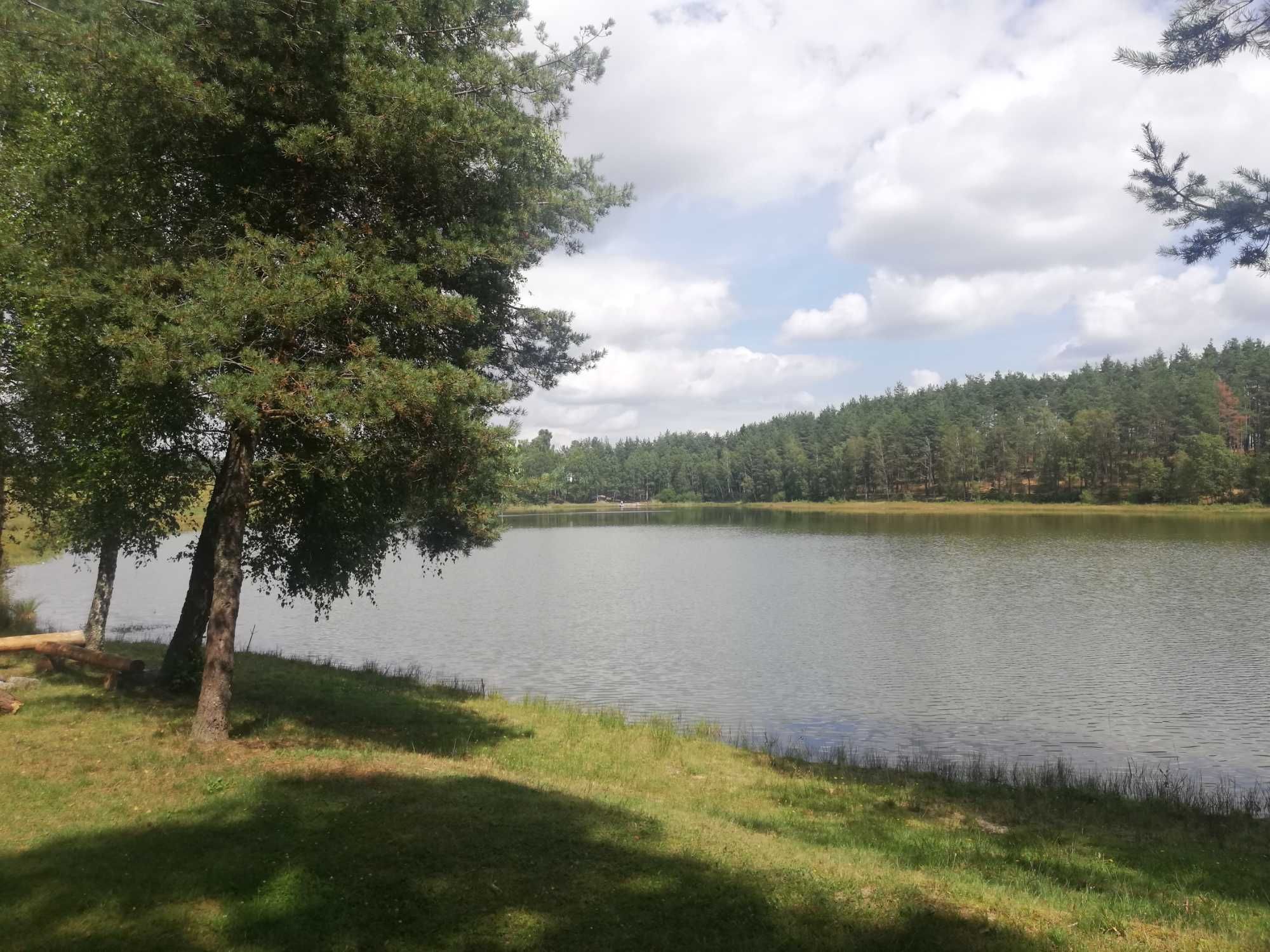Domek letniskowy na kaszubach las, jezioro, wędkowanie.