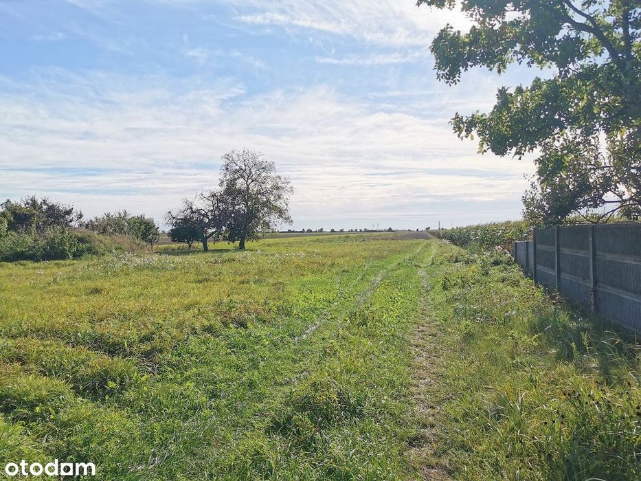 Grunt rolny 1,56 ha, dobra klasa, Sławoszew