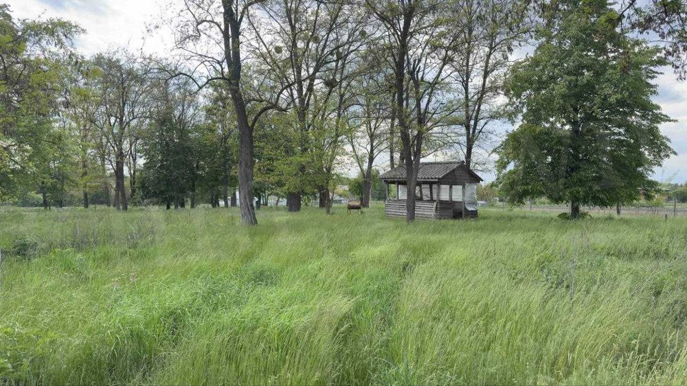 Продається земельна ділянка у с. Єрківці