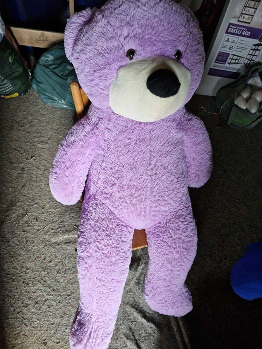 Miś wielki fioletowy