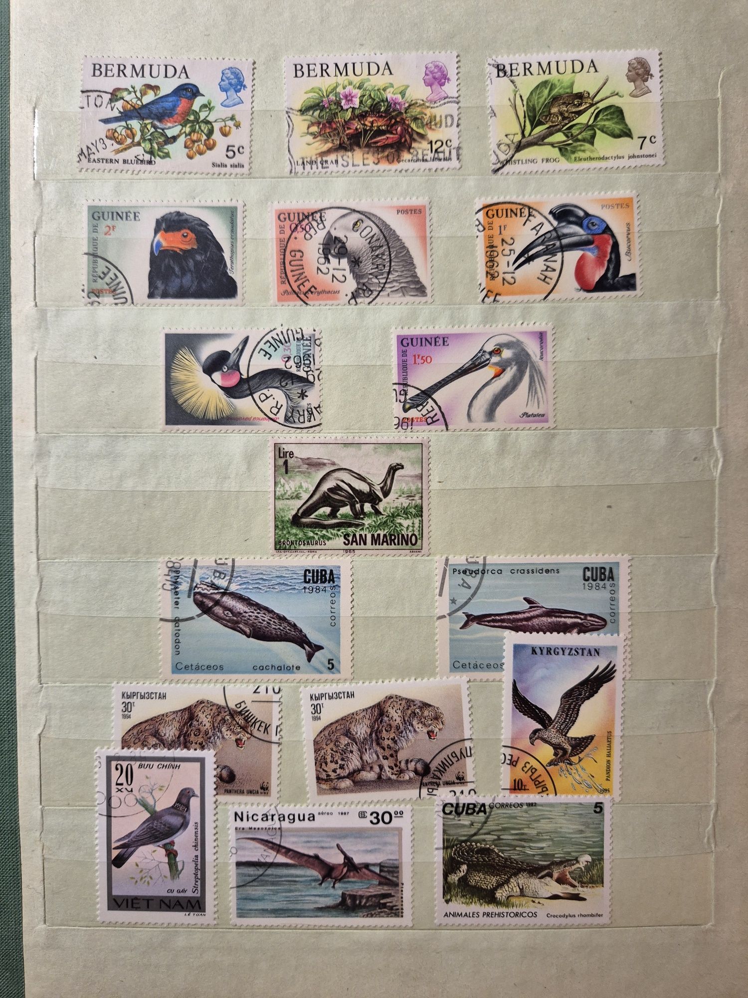 Klaser ze znaczkami: dinozaury, zwierzęta, lotnictwo
